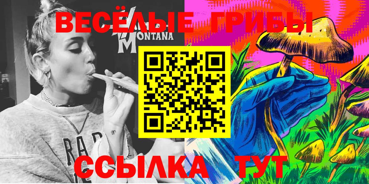 Псилоцибиновые грибы Psilocybe Таганрог