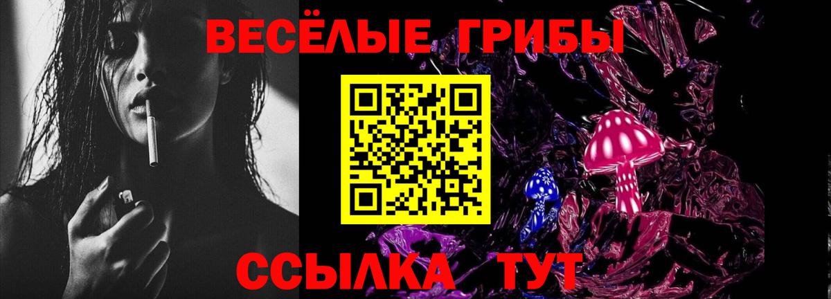 Таганрог  Псилоцибиновые грибы ЛСД  Вход с VPN  Галлюциногенные грибы Psilocybe 